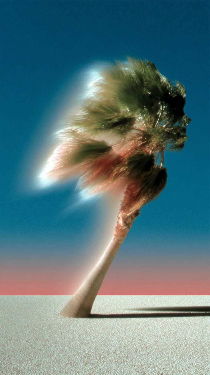 Lifestyle Vector Shift